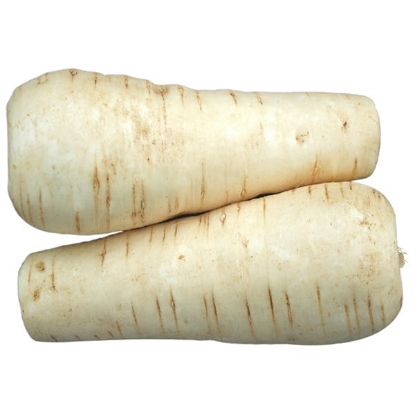 Picture of Parsnip Warrior Tz9043